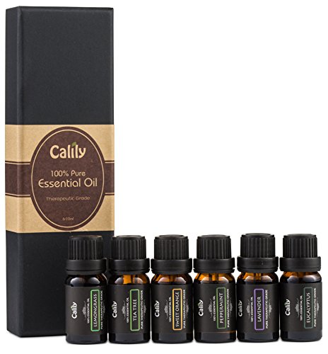 Calily aromaterapia aceite esencial establecer, 6 botellas / 10ml cada uno (lavanda, árbol del té, eucalipto, Lemongrass, naranja dulce, hierbabuena)