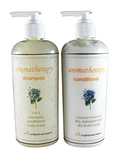 Aromaterapia terapia antidepresivo Combo de champú y acondicionador - shampoo de 8 oz + 8 oz conditoner