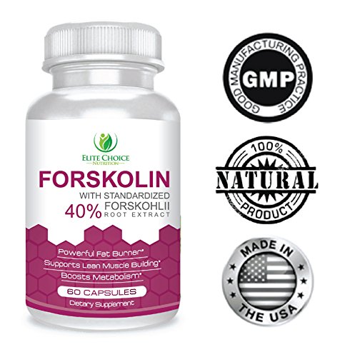 Fuerza máxima pura forskoline 300mg por cápsula estandarizada al 40% más alto grado Premium calidad quemador de grasa metabolismo Booster y píldoras de suplemento de pérdida de peso