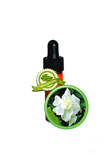 Aceite absoluto de Gardenia - 100% pura Gardenia Jasminoides - 1 copita (1 / 8oz)