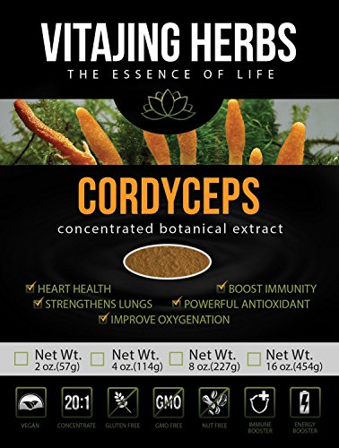 Hongo Cordyceps Sinensis Extracto 20:1 concentración de polvo (2 onzas/57 g)