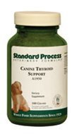 Ayuda del proceso estándar de tiroides canina, 100 gm