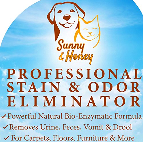 Sol y miel profesional mancha del animal doméstico y eliminador de olores, 32 FL OZ