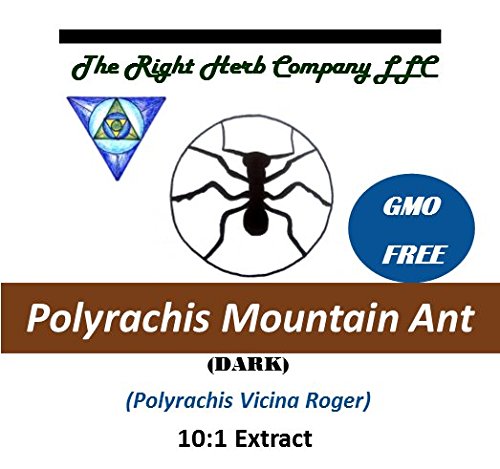 Hormiga de la montaña de Polyrhachis extracto (10:1) del polvo oscuro GMO libre!