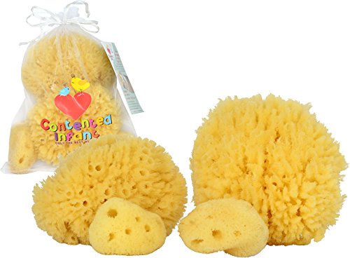 Esponjas de mar natural para el recién nacido, bebé y niño pequeño baño paquete 4: bebé hipoalergénico suave ducha Spa cuidado estuche por contento Infant (TM)