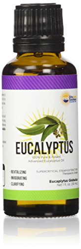 Orgánica eucalipto aceite esencial 100% puro vapor extracción - orgánica eucalipto Globulus aceite