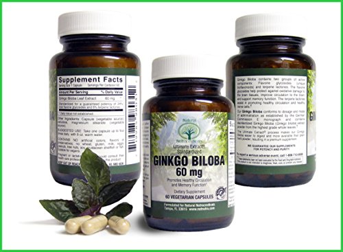 Nutra natural - Premium Ginkgo Biloba - procedente de la más alta calidad, todo Natural Ginkgo Biloba hoja Extracto de cerebro, memoria y refuerzo cognitivo - circulación sana - libre de Gluten - vegano - vegetariano - 60 cápsulas - 60 mg