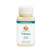 Savesta - Tribulus para rejuvenecimiento y vitalidad máxima potencia - 60 vegetariana cápsulas antes Ayurceutics
