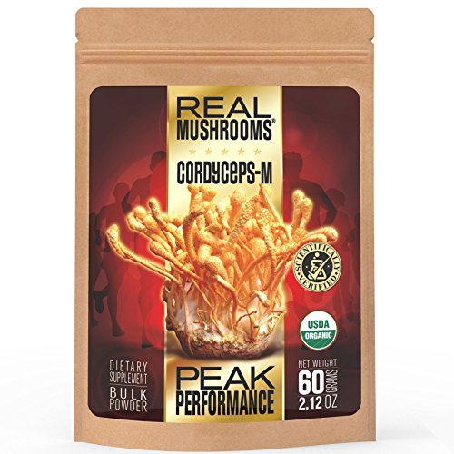Extracto de la seta de Cordyceps polvo de setas Real - certificación orgánica - 60g a granel extracto polvo - Peak Perfomance - recuperación - energía todo el día - ideal para batidos, Smoothies, café y té