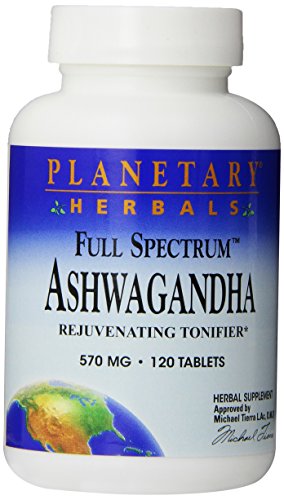 120 tabletas de Planetary Herbals completo espectro Ashwagandha 570 mg tabletas