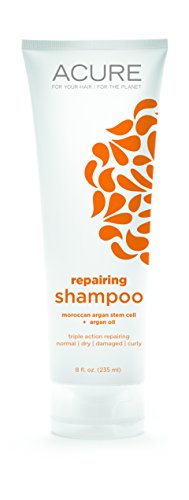 Acure reparación Shampoo, Argan, 8 onzas