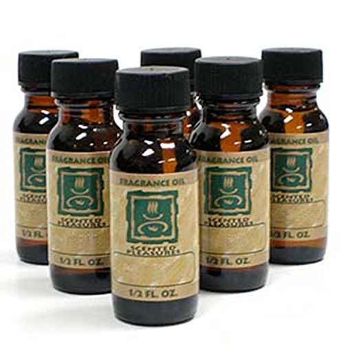 StealStreet SS-A-30123 fragancia aceite para quemador de Aroma, té verde, 6 botellas