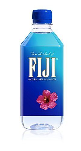 Agua artesiana Natural de FIJI, 16,9 onzas botellas (paquete de 24)