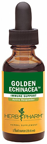 Hierba Pharm certificado orgánico oro Extracto de equinácea para apoyo del sistema inmune - 1 onza