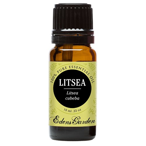 Aceite de esencial de Litsea 100% puro grado terapéutico por Edens Garden-10 ml