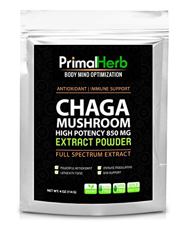 Wildcrafted Chaga Extracto de seta - potente 30: 1 y 40% polisacáridos - poderoso antioxidante - apoyo inmune - porciones 120 - 100% garantía!