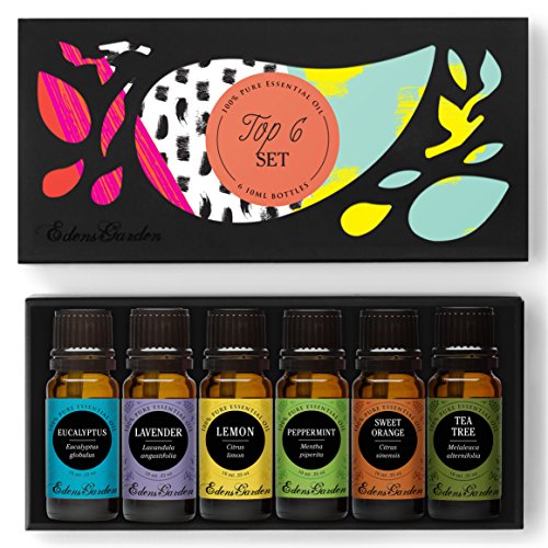 Top 6 100% puro grado terapéutico aromaterapia básica Sampler aceite esencial regalo conjunto-6/10 ml de eucalipto, lavanda (búlgaro), limón, menta, naranja dulce y árbol del té por Edens Garden