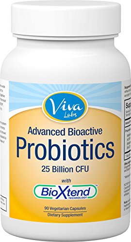 Viva laboratorios probióticos, 25 billones CFU, BioXtend tecnología avanzada para liberación dirigida y aumentaron la absorción, 90 Caps