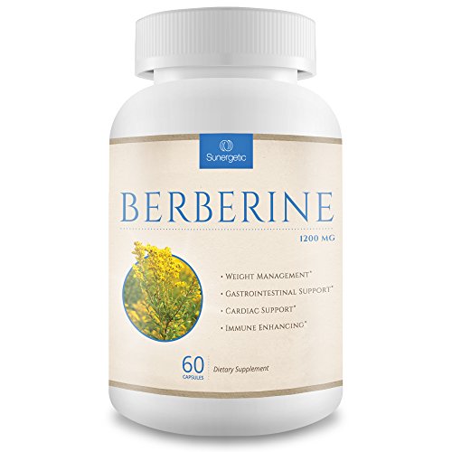 Suplemento de berberina Premium-1,200 mg por porción - berberina HCL extracto ayuda apoyo saludable los niveles de azúcar, la digestión y la inmunidad - 60 cápsulas vegetarianas