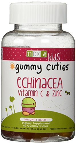 Dynamix natural Echinacea vitamina C y cinc suplemento Mineral, cuenta 60